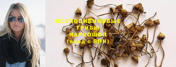 молекула духа Абинск