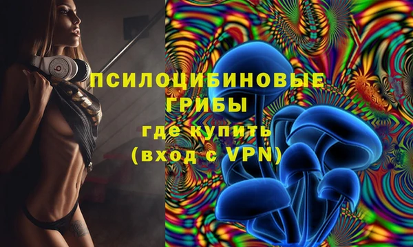 молекула духа Абинск
