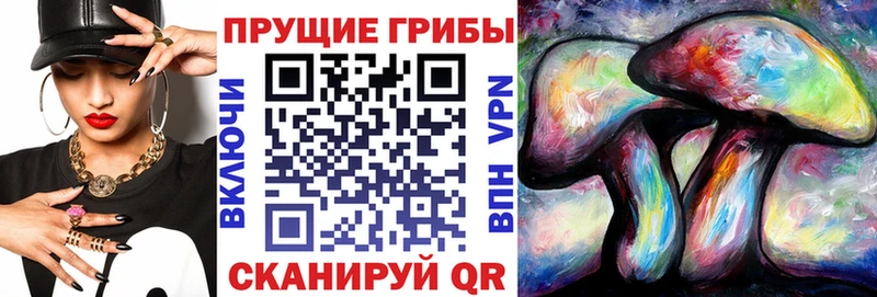 наркота  Азов  Галлюциногенные грибы MAGIC MUSHROOMS 
