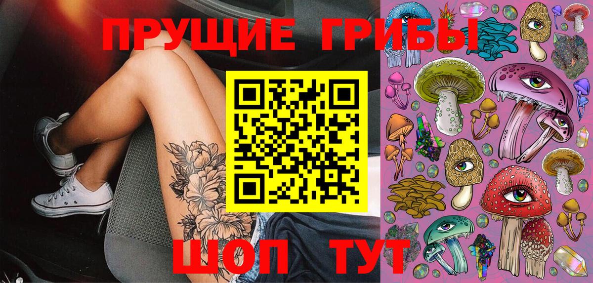 купить наркотик  Вход с VPN  Азов  Псилоцибиновые грибы Cubensis 